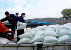 Farming area helping by purchasing rice